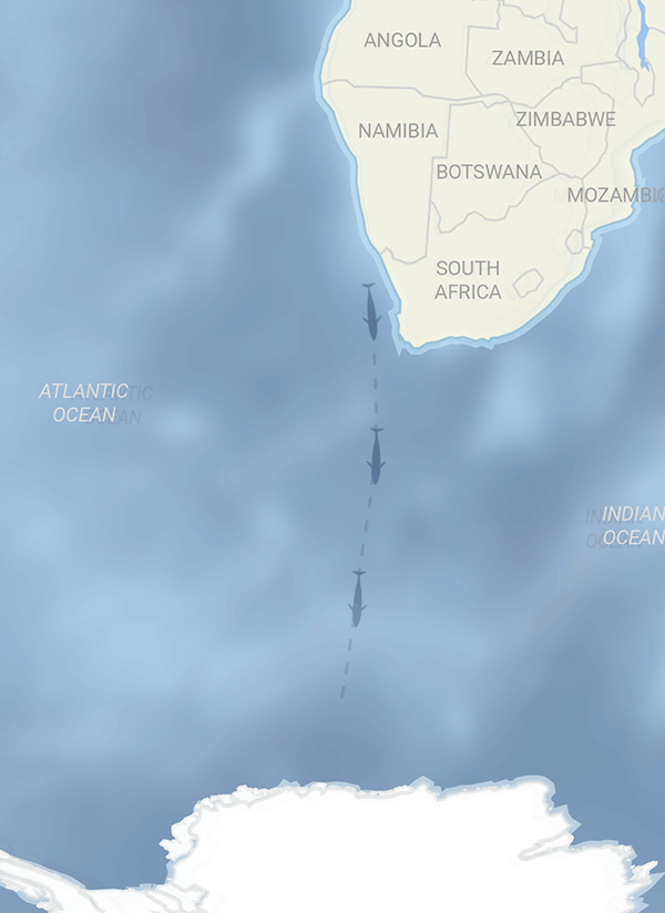mirgation map from South Africa