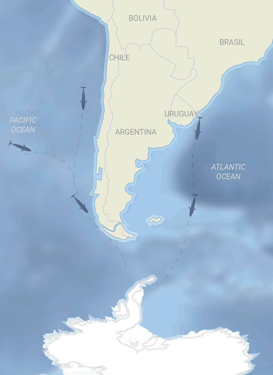 migration map from South America