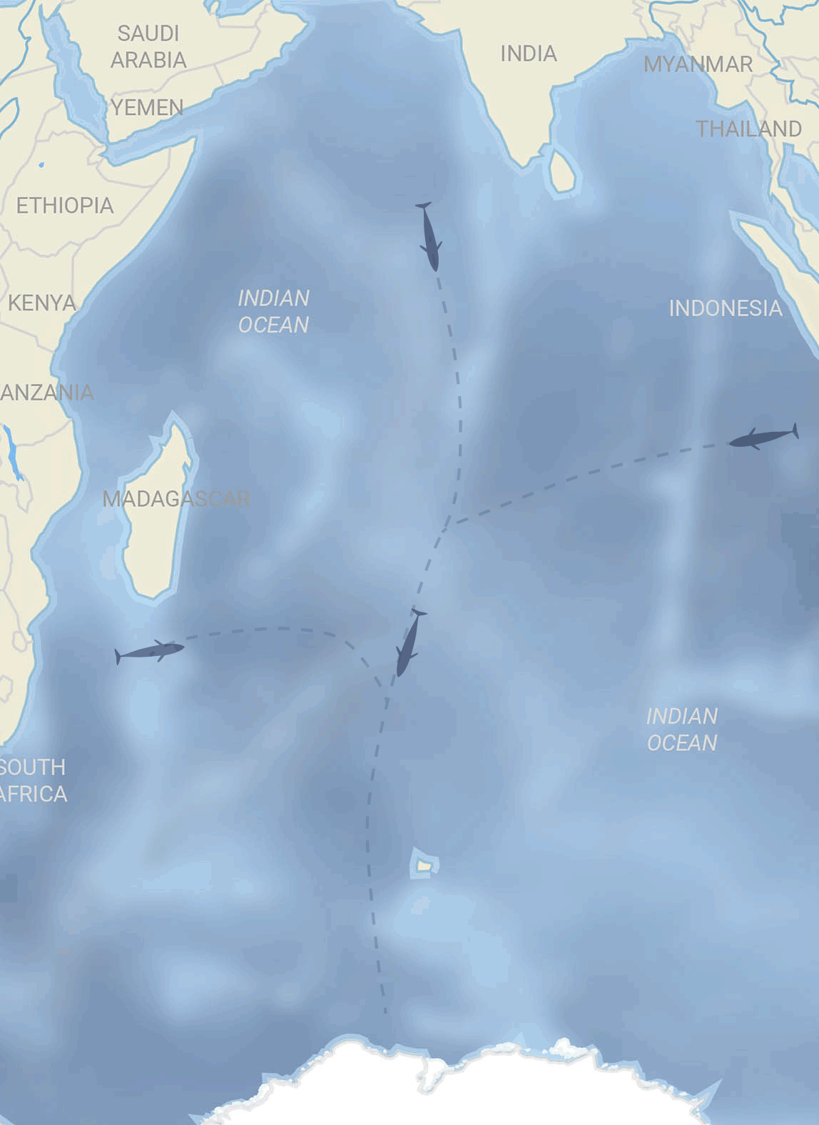 migration map from Southern Indian Ocean